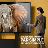 Support motorisé ONKRON pour écrans de 55 à 100 pouces, noir FPRO2L-30-B