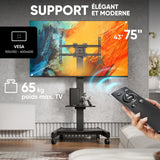 Support mobile motorisé pour TV 43"–75", max. 70 kg, noir TS1552E