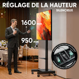 Support mobile motorisé pour TV 43"–75", max. 70 kg, noir TS1552E